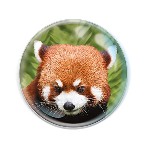 Magnidome – Red Panda from Deluxebase. Panda Crystal Glass Fridge Magnet for Kids. Superb Domed Shaped Round Magnets for Home Decorations and Accessories