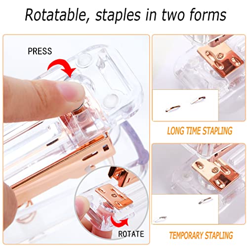 The Storepaperoomates Retail Market Rose Gold Office Supplies and Accessories, Acrylic Stapler, Staple Remover, Tape Holder, Pen Holder, Ballpoint Pen, Scissor, Binder Clips, Staples, Phone Holder, Ruler, Transparent Glue and 300 Notes - Fast Affordable Shopping