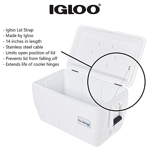 Igloo Cooler Cable Lid Strap, 14 Inch – Heavy Duty Stainless Steel - The Storepaperoomates Retail Market - Fast Affordable Shopping