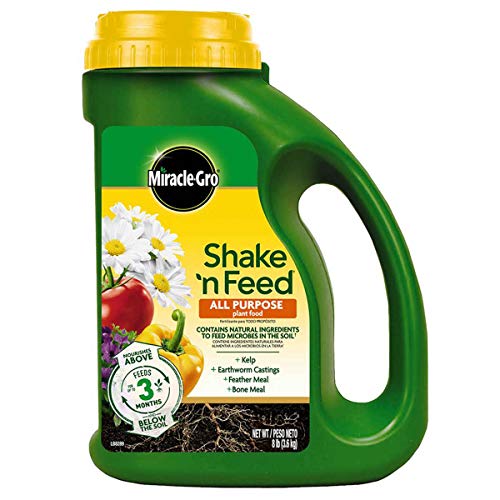 Scotts Miracle-GRO Shake ‘n Feed All Purpose Plant Food 8 lb - The Storepaperoomates Retail Market - Fast Affordable Shopping