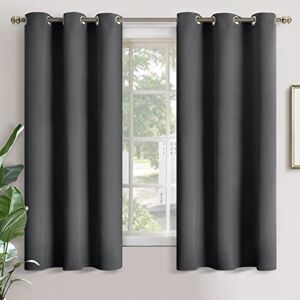 YoungsTex Blackout Curtains for Bedroom – Thermal Insulated with Grommet Top Room Darkening Window Curtains for Living Room, 2 Panels, 42 x 63 Inch, Dark Grey
