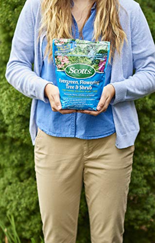 Scotts Evergreen, Flowering Tree & Shrub Continuous Release Plant Food 3 lb., 2-Pack | The Storepaperoomates Retail Market - Fast Affordable Shopping