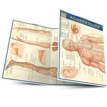 Acupressure (Quick Study Academic Outline) | The Storepaperoomates Retail Market - Fast Affordable Shopping
