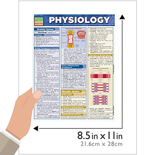 Physiology (Quick Study Academic) | The Storepaperoomates Retail Market - Fast Affordable Shopping