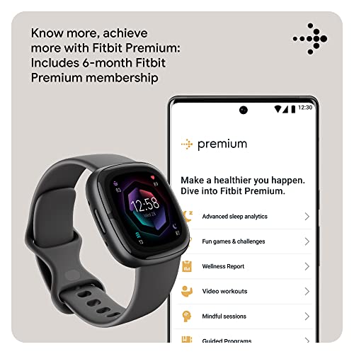 Fitbit Sense 2 Advanced Health and Fitness Smartwatch with Tools to Manage Stress and Sleep, ECG App, SpO2, 24/7 Heart Rate and GPS, Shadow Grey/Graphite, One Size (S & L Bands Included) | The Storepaperoomates Retail Market - Fast Affordable Shopping