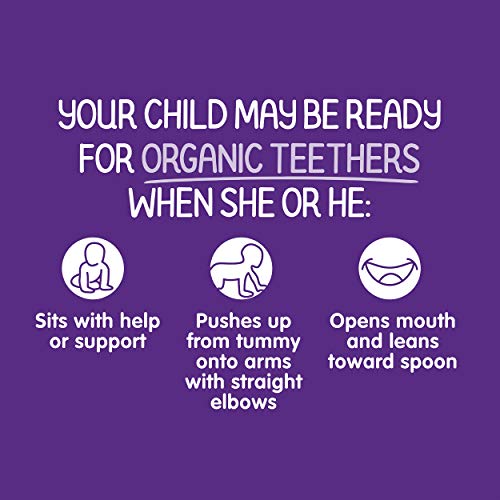 Happy Baby Organics Teether, Blueberry & Purple Carrot, 12 Count (Pack of 6) | The Storepaperoomates Retail Market - Fast Affordable Shopping