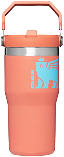 Stanley Classic IceFlow Flip Straw Tumbler for Kids (8 or Above), 20oz, Stan the Bear Stainless Steel Tumbler with Double-Wall Vacuum Insulation | The Storepaperoomates Retail Market - Fast Affordable Shopping