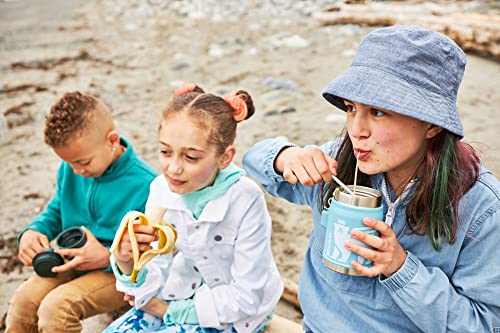 Stanley Heritage Insulated Food Jar for Kids (8 and Above) with Spork, 14oz Stainless Steel Kids’ Lunch Box, Dishwasher Safe and BPA-Free | The Storepaperoomates Retail Market - Fast Affordable Shopping