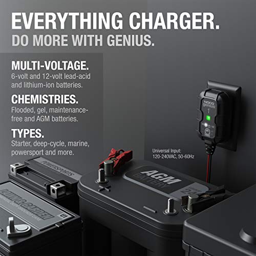 NOCO GENIUS1, 1-Amp Automatic Smart Charger, 6V and 12V Portable Automotive Car Battery Charger, Battery Maintainer, Trickle Charger and Battery Desulfator with Temperature Compensation | The Storepaperoomates Retail Market - Fast Affordable Shopping