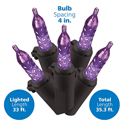 PHILIPS 100 Purple LED Faceted Mini Cover Halloween Decoration Lights on Black Wire – UL Listed for Indoor/Outdoor Use – 35.3′ Total Length with 4″ Bulb Spacing – String Lights for Halloween Decor | The Storepaperoomates Retail Market - Fast Affordable Shopping