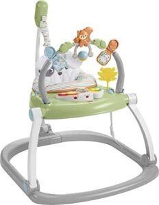 Fisher-Price Jumperoo Baby Bouncer and Activity Center with Lights and Sounds, Sweet Snugapuppy SpaceSaver