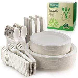 250 Piece Biodegradable Paper Plates Set (EXTRA LONG UTENSILS), Disposable Dinnerware Set, Eco Friendly Compostable Plates & Utensil include Plates, Forks, Knives and Spoons for Party, Picnic