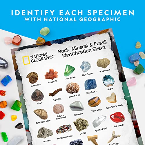 NATIONAL GEOGRAPHIC Rocks & Fossils Kit – 200+ Piece Set Includes Geodes, Real Fossils, Rose Quartz, Jasper, Aventurine & Many More Rocks, Crystals & Gemstones | The Storepaperoomates Retail Market - Fast Affordable Shopping