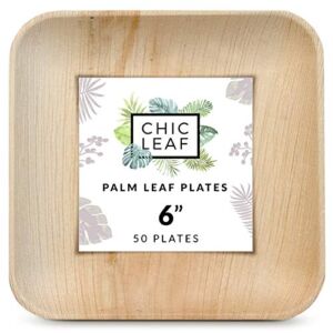 Chic Leaf Palm Leaf Plates Like Bamboo Plates Disposable 6 Inch Square (50 Plates) – Appetizer and Dessert Plates Set – 100% Compostable Biodegradable Eco Friendly Plates – Elegant and Sturdy Design
