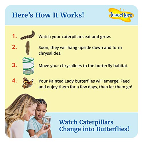 Butterfly Garden: Original Habitat and Live Cup of Caterpillars with STEM Butterfly Journal – Life Science & STEM Education – Butterfly Science Kit | The Storepaperoomates Retail Market - Fast Affordable Shopping