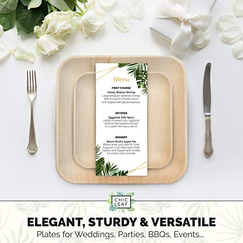 Chic Leaf Palm Leaf Plates Disposable Bamboo Plates Like 10 Inch & 7 Inch Square Party Pack (48 Pc) Compostable and Biodegradable – Better than Plastic and Paper Plates | The Storepaperoomates Retail Market - Fast Affordable Shopping