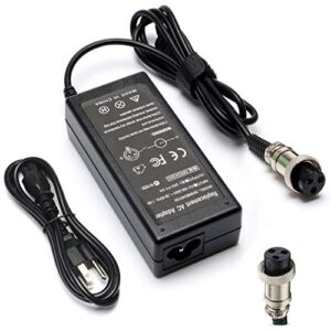 Janboo 24V Scooter Battery Charger for Razor E100 E200 E200S E175 E300 E300S E125 E150 E500 PR200 E225S E325S MX350 MX400 Charger Power Supply Cord