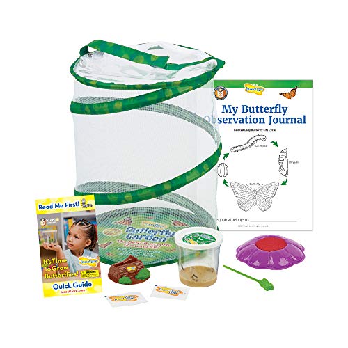 Butterfly Garden: Original Habitat and Live Cup of Caterpillars with STEM Butterfly Journal – Life Science & STEM Education – Butterfly Science Kit | The Storepaperoomates Retail Market - Fast Affordable Shopping