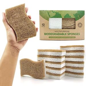 AIRNEX Biodegradable Natural Kitchen Sponge – Compostable Cellulose and Coconut Walnut Scrubber Sponge – Pack of 12 Eco Friendly Sponges for Dishes