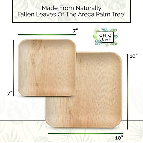 Chic Leaf Palm Leaf Plates Disposable Bamboo Plates Like 10 Inch & 7 Inch Square Party Pack (48 Pc) Compostable and Biodegradable – Better than Plastic and Paper Plates | The Storepaperoomates Retail Market - Fast Affordable Shopping