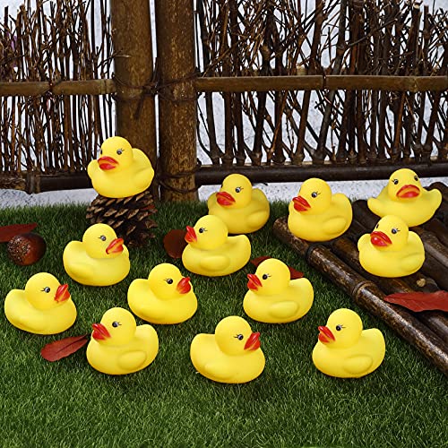 50-Pieces Float & Squeak Mini Rubber Duck Baby Bath Ducky Sound Shower Toys for Kids | The Storepaperoomates Retail Market - Fast Affordable Shopping