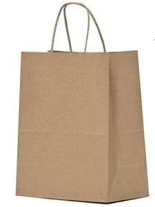 10x5x13 Kraft Paper Bags 100 Pcs Kraft Shopping Bags, Paper Gift Bags, Retail Bags, Recycled Bulk Paper Bags, Brown Paper Bags with Handles Bulk