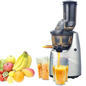 Juicer Machine, Slow Juicer Easy to Clean, Cold Press Juicer with Reverse Function for Vegetables and Fruits,with Brush,BPA Free,Silver