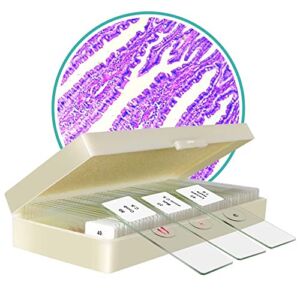 50Pcs Prepared Microscope Slides with Specimen, Microscope Slides for Students Biology and Science Early Education