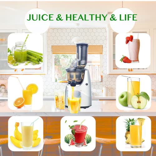 Juicer Machine, Slow Juicer Easy to Clean, Cold Press Juicer with Reverse Function for Vegetables and Fruits,with Brush,BPA Free,Silver | The Storepaperoomates Retail Market - Fast Affordable Shopping