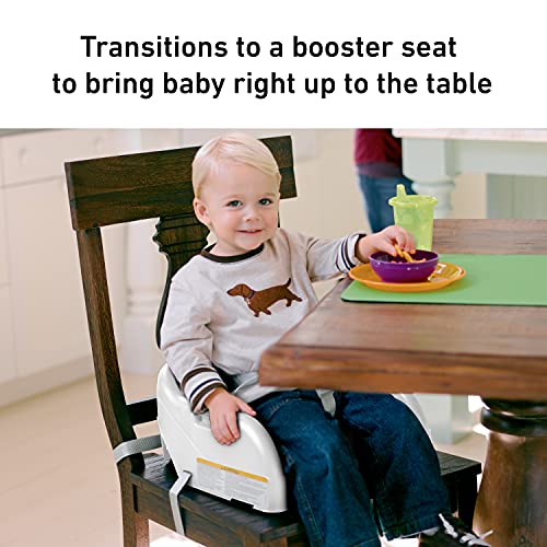 Graco Blossom 6 in 1 Convertible High Chair, Sapphire | The Storepaperoomates Retail Market - Fast Affordable Shopping