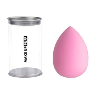 Makeup Puff 4Pcs,Egg shape, Wet and Dry Apply Liquid Powder Base And Cream