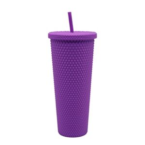 AQUAPHILE 24Oz Matte Studded Tumbler with Leak Proof Lid and Reusable Straw Water Cup Travel Mug Coffee Ice Water Bottle Double Walled Insulated Tumbler BPA Free (Dark Purple)