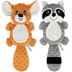 PETIZER Plush Squeaky Dog Toys, Stuffed and Crinkle Dog Chew Toys, Interactive Toys for Puppies, Small, Medium and Large Dogs, Cute Squirrel and Raccoon, 2 Pack