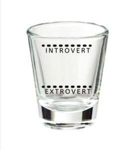 TIPSY UMBRELLA “Introvert / Extrovert” Funny Collectable shot glass (1.75 oz)