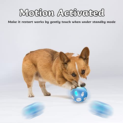 BENTOPAL Interactive Dog Toy Wicked Ball for Indoor Cats/Dogs with Motion Activated/USB Rechargeable | The Storepaperoomates Retail Market - Fast Affordable Shopping