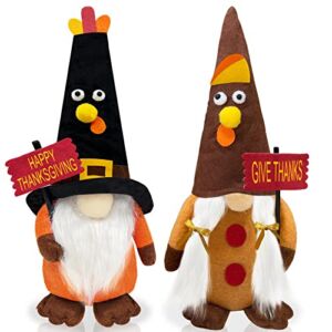 TURNMEON 2 Pack Fall Thanksgiving Gnomes Plush Thanksgiving Decorations, Turkey Gnomes Hold Give Thanks Banner Thanksgiving Fall Decor Indoor Home Autumn Farmhouse Tomte Swedish Dolls Table Ornaments