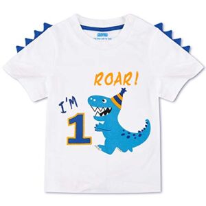 1st Dinosaur Birthday Boy T-Shirt Baby Boy One 1 Year Old Birthday Shirt Outfit First Dino Birthday Party Boy Top Tee Cotton Printed 1st Short Sleeve White