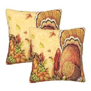 Fall Thanksgiving Turkey Pumpkins Throw Pillow Covers Set of 2 Autumn Maple Leaf Pillowcase Cushion Covers Decorative Soft Velvet Pillow Cases for Sofa Couch Bed Car Bedroom Fall Decor 18×18 in