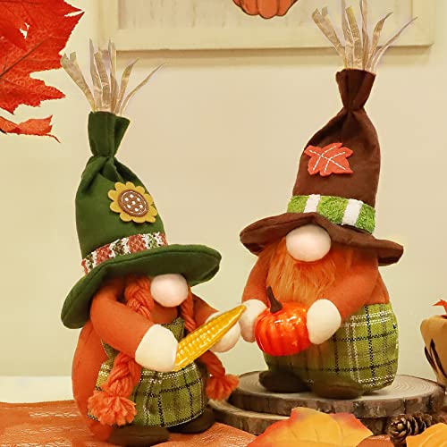 TURNMEON 2 Pcs Thanksgiving Decoration for Home Gnomes Plush Hold Pumpkin Corn, Scandinavian Tomte Elf Gnome Doll Harvest Autumn Thanksgiving Home Decor for Table Tiered Tray Indoor Farmhouse | The Storepaperoomates Retail Market - Fast Affordable Shopping
