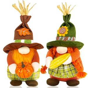 TURNMEON 2 Pcs Thanksgiving Decoration for Home Gnomes Plush Hold Pumpkin Corn, Scandinavian Tomte Elf Gnome Doll Harvest Autumn Thanksgiving Home Decor for Table Tiered Tray Indoor Farmhouse