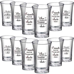 12 Packs Acrylic Clear Party Shot Glasses Random Set 1.2 Ounce Shot Glasses Funny Friends Shot Glasses Acrylic Shot Glasses for Adult Small Glass Shot Cups (Friend Style)