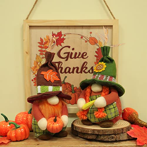 TURNMEON 2 Pcs Thanksgiving Decoration for Home Gnomes Plush Hold Pumpkin Corn, Scandinavian Tomte Elf Gnome Doll Harvest Autumn Thanksgiving Home Decor for Table Tiered Tray Indoor Farmhouse | The Storepaperoomates Retail Market - Fast Affordable Shopping