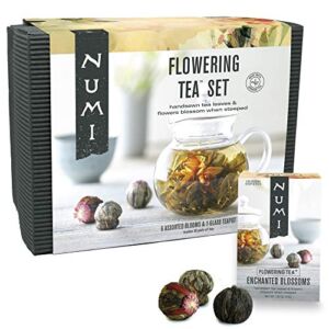 Numi Organic Tea Flowering Tea Gift Set, 6 Tea Blossoms with 16 Ounce Glass Teapot (Packaging May Vary)
