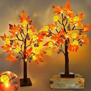 [ 2 Pack & Timer ] TURNMEON 24 Inch Lighted Maple Tree Fall Thanksgiving Decor , Total 48 LED Battery Operated Tabletop Artificial Tree Design Patent Pumpkin & Acorn Halloween Decoration Home Indoor