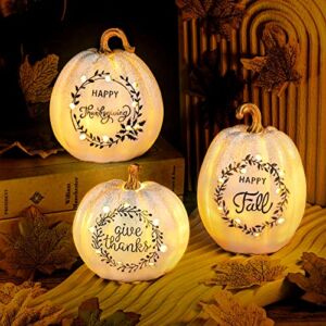 Fovths 3 Pack Happy Fall White Pumpkin Light Tabletop Decor Set Pumpkin Resin with LED Light Autumn Tabletopper Decorations for Fall Harvest Thanksgiving Party Home Table Decorations