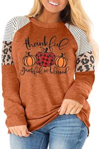 Thankful Grateful Blessed Plus Size T Shirt Women Thanksgiving Pumpkin Long Sleeve Blouse Leopard Print Striped Tee Tops Brown