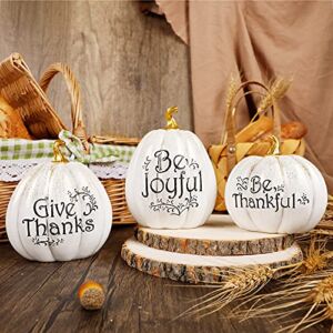 Prsildan Thanksgiving Tabletop Decorations, Set of 3 Resin Pumpkins Seasonal Fall Autumn Centerpieces for Table Room Kitchen Office (White)