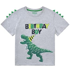Dinosaur Birthday Boy T Shirt Baby B-Day Dino Party Shirts T Rex Top Tee Gift Cotton Toddler Boy T-Shirt Gray Printed Short Sleeve Outfits