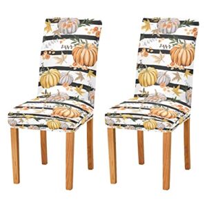 Autumn Fall Pumpkins Thanksgiving Day Dining Chair Covers Set of 2 Spandex Stretch Chair Slipcover for Dining Room Restaurant Hotel