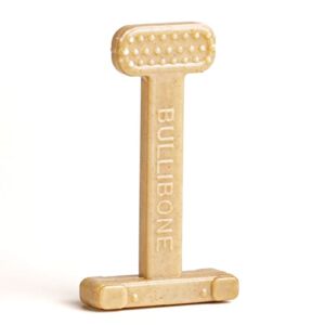 Bullibone Nylon Dog Chew Toy Nylon Bone – Improves Dental Hygiene, Easy to Grip Bottom, and Permeated with Flavor (Peanut Butter, Small – Single)